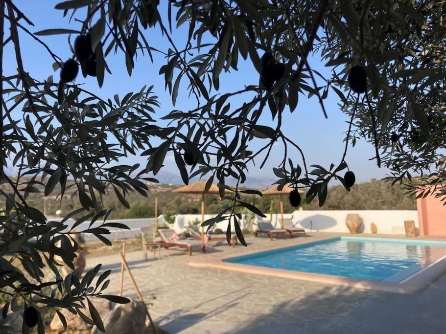 Villa Louloudia Stylish Luxury Villa With Private Pool Pitsidia Exteriér fotografie