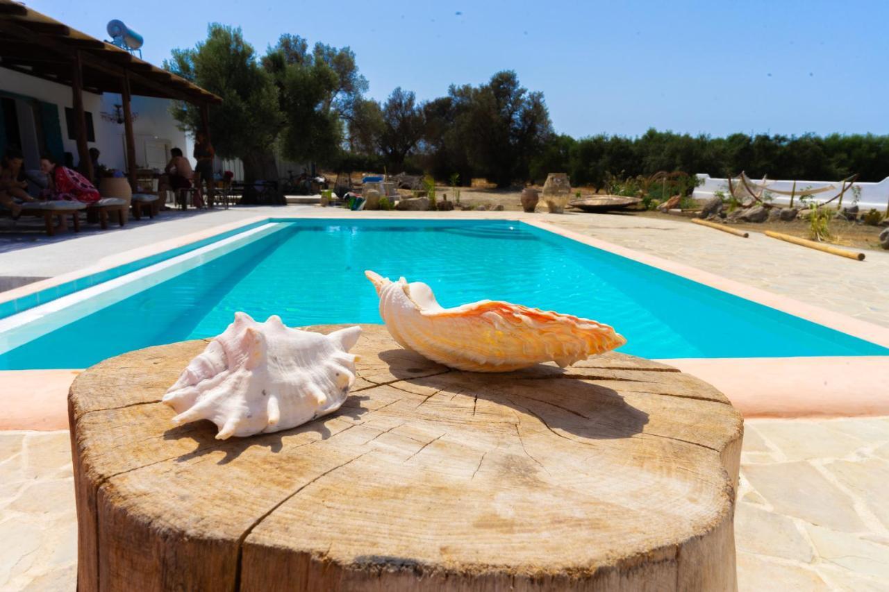 Villa Louloudia Stylish Luxury Villa With Private Pool Pitsidia Exteriér fotografie